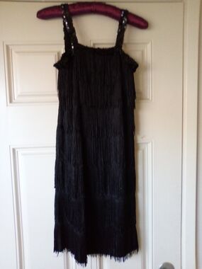 Sincere Party Girls Flapper Dress XL 12-14 Fringe Sequin Straps